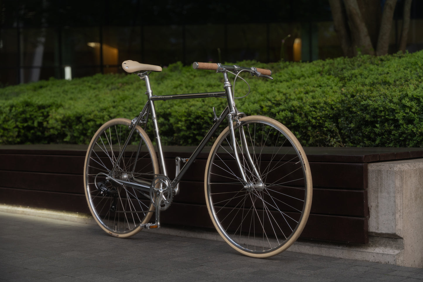 Black Friday Bundle: 8-Gang YIWU Chrome Fahrrad mit Zubehör